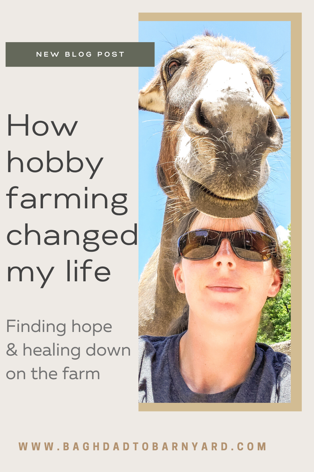 How hobby farming saved my life pintrest pin.png