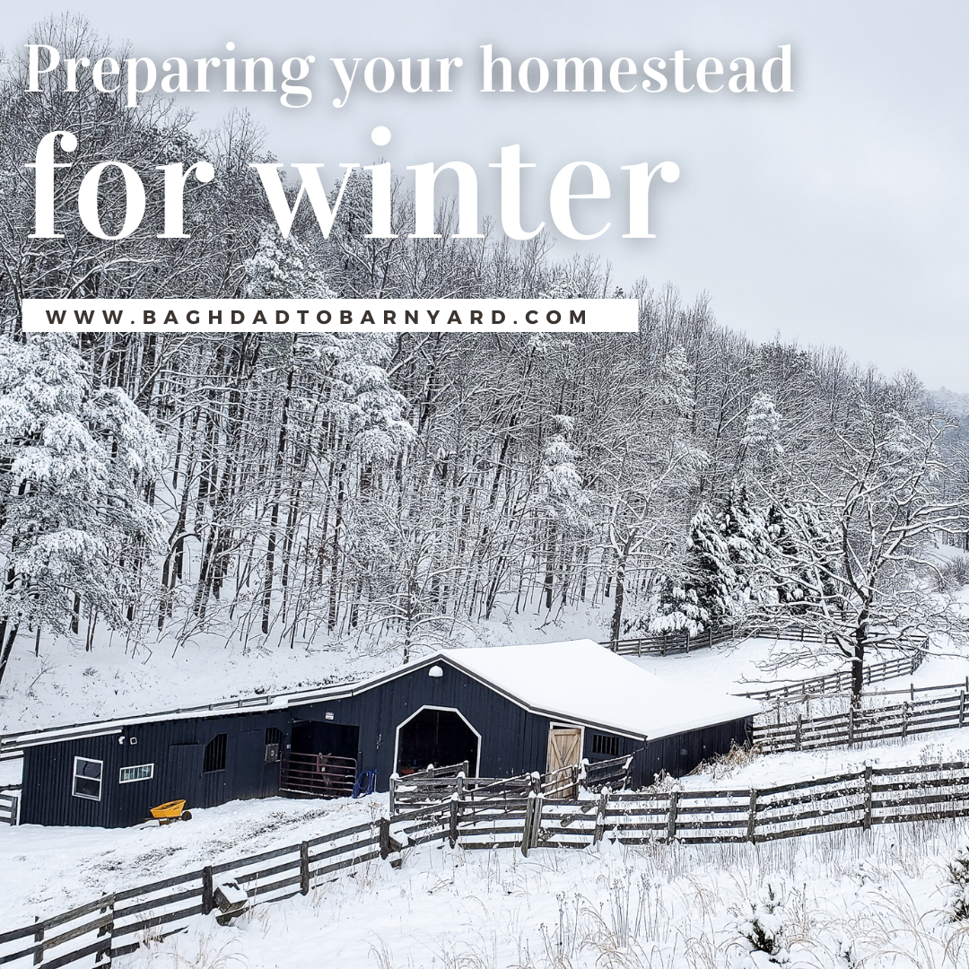 winter prep on the homestead