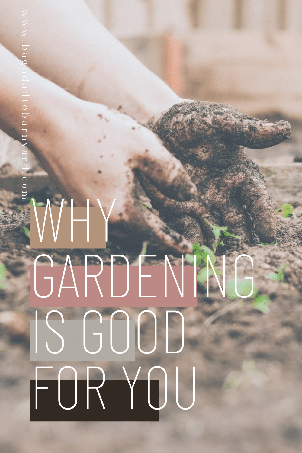 healthy benefits to gardening